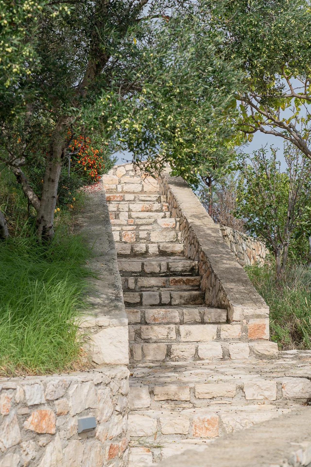 Kymothoe Elite Suites Tsilivi  Exteriér fotografie